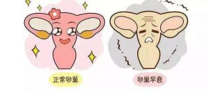 【四院|科普】膏方系列8：恐慌！年纪轻轻卵巢早衰了？